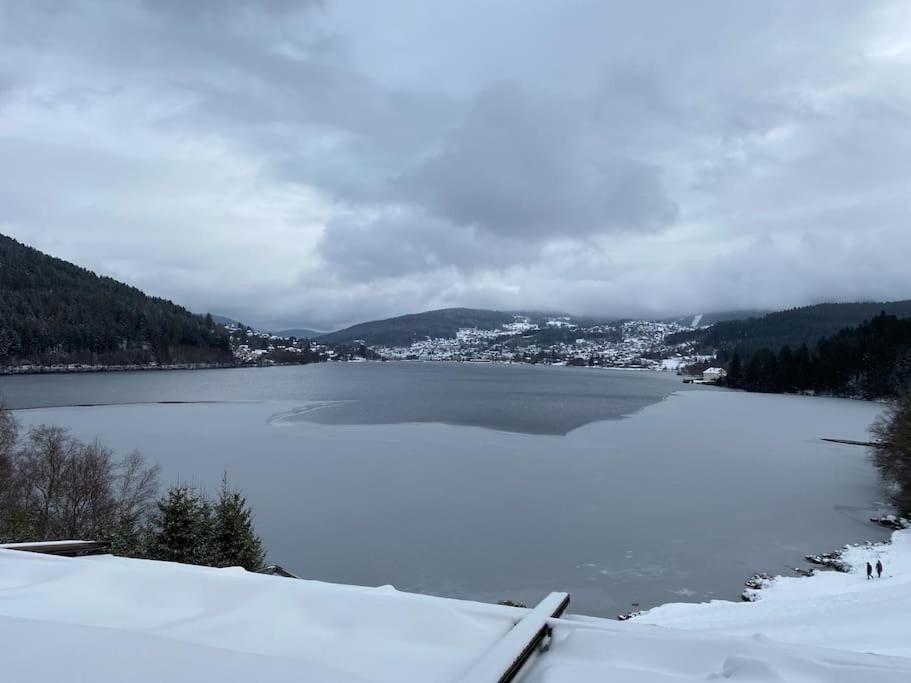 Studio Cosy Ambiance Vosgienne A 20 Mn De Gerardmer Lepanges-sur-Vologne Dış mekan fotoğraf