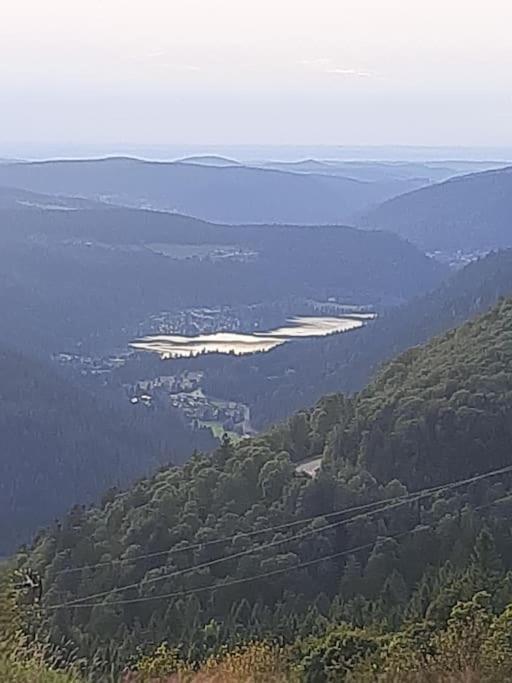 Studio Cosy Ambiance Vosgienne A 20 Mn De Gerardmer Lepanges-sur-Vologne Dış mekan fotoğraf