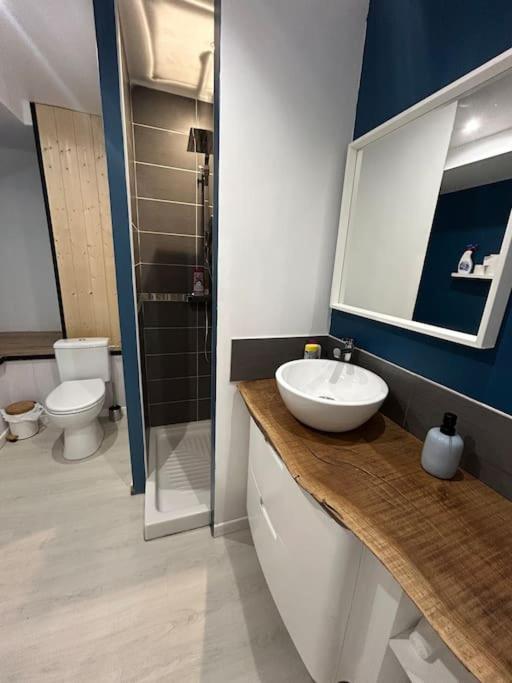 Studio Cosy Ambiance Vosgienne A 20 Mn De Gerardmer Lepanges-sur-Vologne Dış mekan fotoğraf