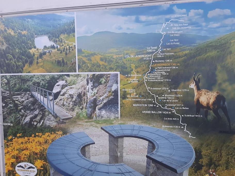 Studio Cosy Ambiance Vosgienne A 20 Mn De Gerardmer Lepanges-sur-Vologne Dış mekan fotoğraf